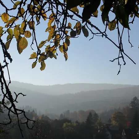 Gasthof Tilly's And House