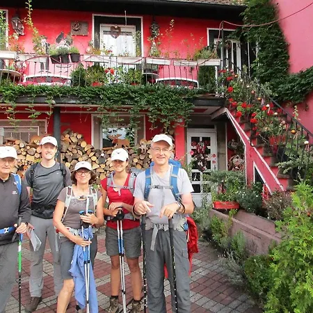 Tilly's And House 3*