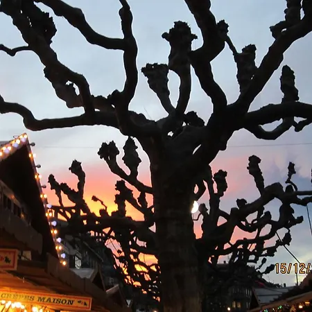 Tilly's And House 3*