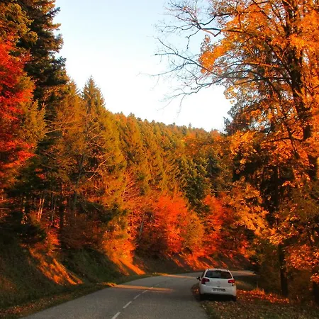 Tilly's And House Gasthof