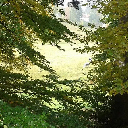 Tilly's And House Le Hohwald