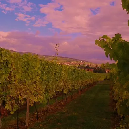 Gasthof Tilly's And House 3*