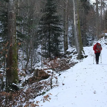 Gasthof Tilly's And House 3*