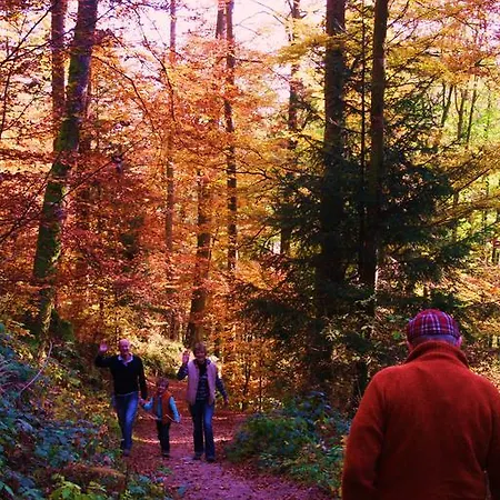 Tilly's And House Le Hohwald