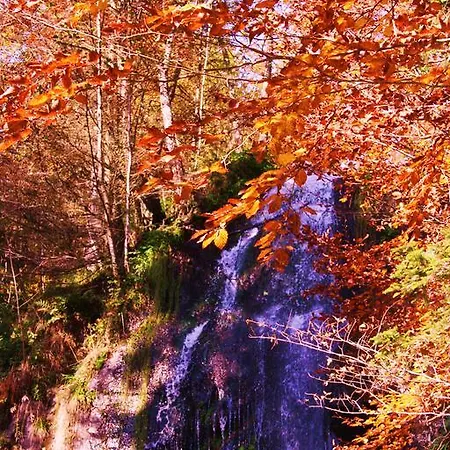 Tilly's And House Gasthof 3*