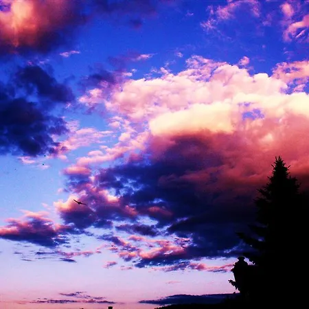 Tilly's And House Le Hohwald