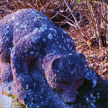 Gasthof Tilly's And House