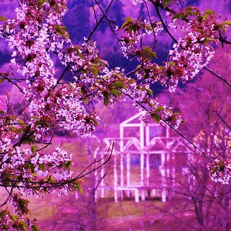 Tilly's And House 3*