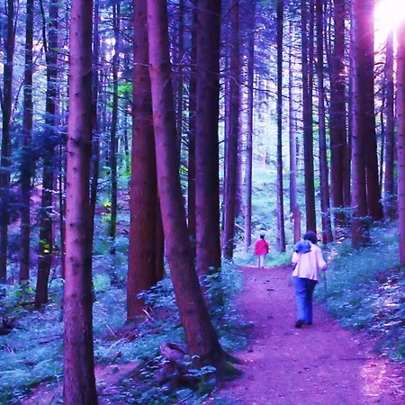 Gasthof Tilly's And House 3*