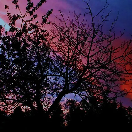 Gasthof Tilly's And House