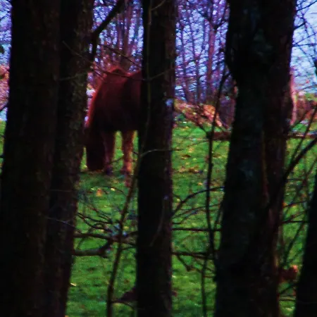 Tilly's And House Le Hohwald