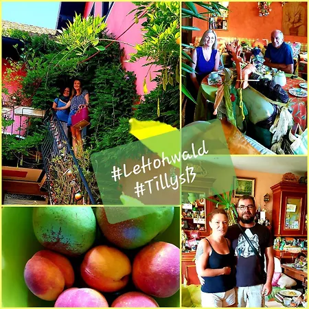 Tilly's And House Le Hohwald