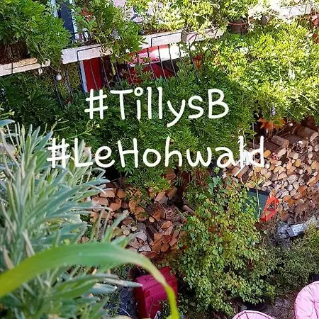 Tilly's And House Konukevi