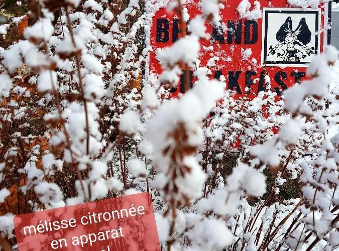 Tilly's And House 3*