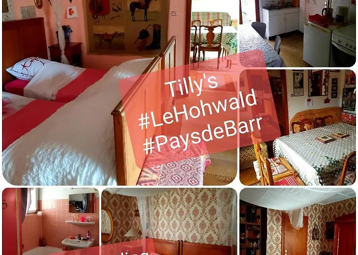 Tilly's And House 3* Le Hohwald