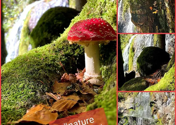 Gasthuis Tilly's And House