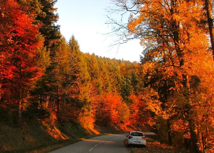 Tilly's And House Gasthuis