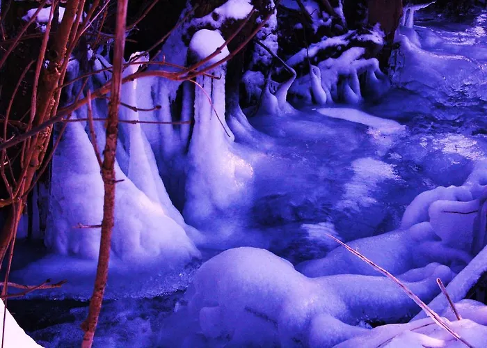 Gasthuis Tilly's And House