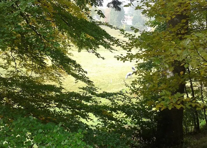 Tilly's And House Le Hohwald