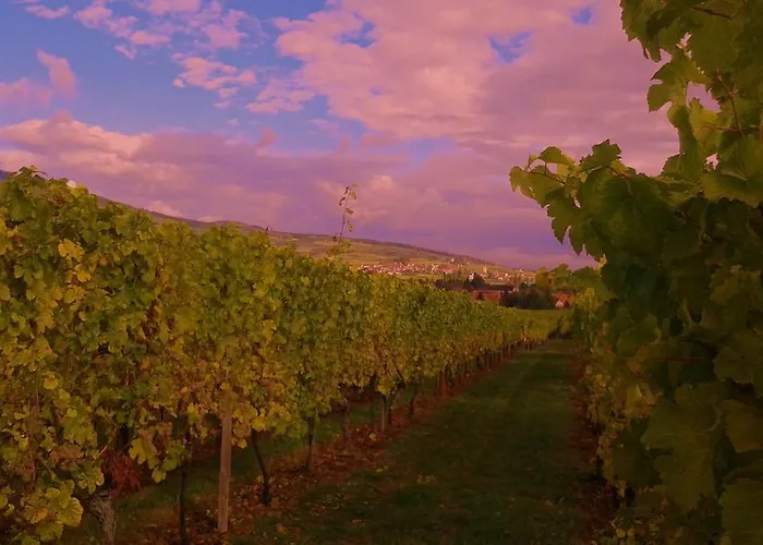 Gasthuis Tilly's And House 3*