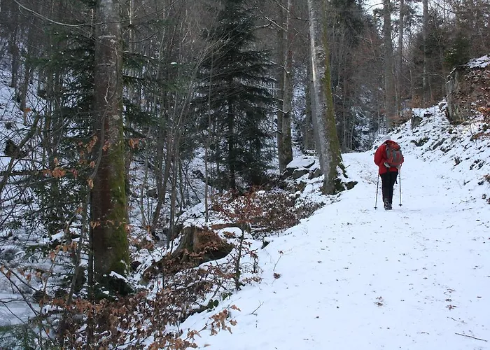 Gasthuis Tilly's And House 3*