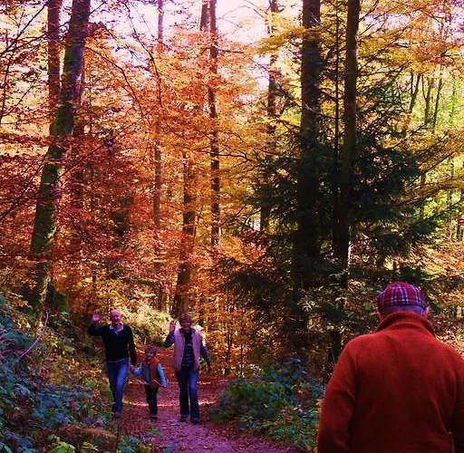 Tilly's And House Le Hohwald