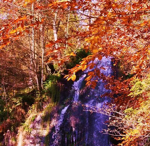 Tilly's And House Gasthuis 3*