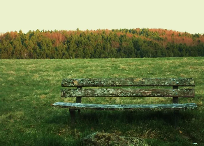 Tilly's And House Gasthuis