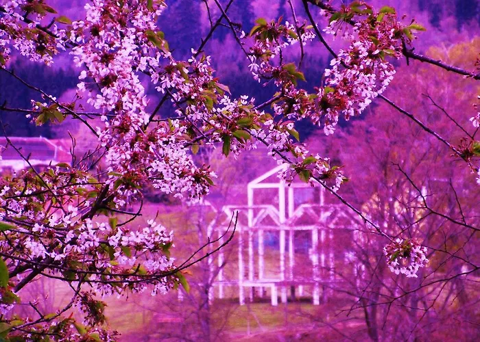 Tilly's And House 3*