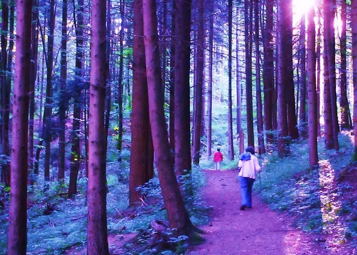 Gasthuis Tilly's And House 3*