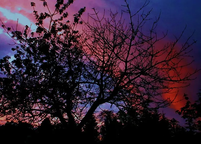 Gasthuis Tilly's And House